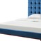 Homeroots Navy Blue Tufted Velvet Upholstered Queen Bed Frame 544757 - alternate 8