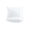 Arkwright Home Host & Home Bed Pillow 2pk Queen 20x30 - Pack of 2, 2PK P-HH-2PK-PIL-QN - alternate 1
