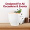 Smarty Had A Party 2 oz. White Square Plastic Mini Coffee Tea Cups (240 Cups), 240PK 6937W-CASE - alternate 8