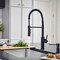 Blanco Catris Semi-Pro 1.5 GPM, Matte Black 443032 - alternate 6
