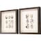 Homeroots Set Of Two Shell Series S/2 Brown Framed Print Wall Art, 2PK 526962 - alternate 3