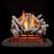 Bluegrass Living Vented Natural Gas or Propane Fireplace Log Set With Remote Control Kit, 24" Birch Wood, 55,000 BTU BVL24-2-RO - alternate 1