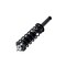 Fcs Struts Suspension Strut And Coil Spring Assembly 1355051L - alternate 4