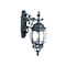 Homeroots Matte Black Hanging Glass Globe Wall Light 398580 - alternate 1
