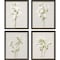 Homeroots Set Of Four White Field Flowers Black Framed Print Wall Art, 4PK 416436 - alternate 1