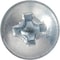 Auveco GM, Ford & Chrysler Windshield & Rear Window Reveal Moulding Attaching Screw, 100PK 24171 - alternate 2