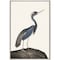 Homeroots Great Heron I Canvas Silver Floater Frame Print Wall Art 474076 - alternate 1