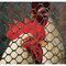 Tenax Poultry Fence, 25 ft L, 2 ft W, 3/4 x 3/4 in Mesh, Plastic, Green 72120942 - alternate 10