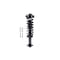 Fcs Struts Suspension Strut And Coil Spring Assembly 1355105 - alternate 1