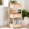 Bali & Pari Brooks Metal-framed Natural Rattan Accent Shelf 267-14615-ZORO - alternate 7