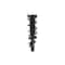 Fcs Struts Suspension Strut And Coil Spring Assembly 1335980L - alternate 4