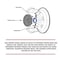 Coyote Wheel Accessories WHEEL INSTALLATION KIT 5 Lug Kit 14 Millimeter x 2 Thread Size 60 Degree Conical Bulge Acorn 19 70K573 - alternate 5