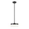 Z-Lite Renaud Matte Black 1 Light Pendant 827P9-MB-LED - alternate 1