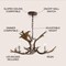 Jonathan Y Speller 27" Adjustable Resin Antler 3-Light LED Chandelier, Brown JYL6303A - alternate 15