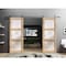 Sartodoors Sturdy Double Barn Door with Frosted Glass, Lucia 2552 Oak, 13FT Rail Hangers Heavy Set, Solid Pa LUCIA2552DB-S-DUB-3684 - alternate 6