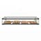 Koolmore 2.3 Cu Ft Slim  Flat Dry  Bakery Display Case with  Black Aluminum Accents KM-DC-24SBK - alternate 1