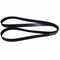 Motorcraft Serpentine Belt,  JK8872E - alternate 2