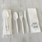 Boardwalk Disposable Dining Utensil Combos, PK250 BWK6COMBOKITPP - alternate 5