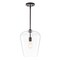 Jonathan Y Hayes 11.25" 1-Light Industrial Farmhouse Iron/Glass LED Pendant, Oil Rubbed Bronze/Clear JYL7596A - alternate 1