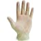 Workhorse 500 Series Single Use Vinyl Hand Protection Gloves, Powdered, 100PK E5420382 - alternate 1