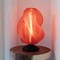 Jonathan Y Gema 13.5 in. Mid-Century Coastal Plant-Based PLA 3D Printed Dimmable LED Table Lamp, Clear Red/Black USA1009A - alternate 9