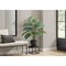 Monarch Specialties Artificial Plant, 24" Tall, Calathea, Indoor, Faux, Fake, Table, Greenery, Potted, Real Touch I 9577 - alternate 1