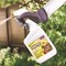 Bonide Go Away Animal Repellent Liquid For Deer and Rabbits 32 oz 2306 - alternate 5