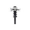 Fcs Struts Suspension Strut And Coil Spring Assembly 1335832R - alternate 1