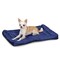 Slumber Pet Dog Bed, 30 in L, 19 in W, Nylon Cover, Royal Blue ZA210 30 19 - alternate 4