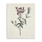 Homeroots Singular Red Blossom Branch Unframed Print Wall Art 399057 - alternate 5