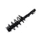 Fcs Struts Suspension Strut And Coil Spring Assembly 1335991 - alternate 4