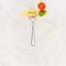 Smarty Had A Party Clear Mini Plastic Disposable Tasting Forks (960 Forks), 960PK 780-CL-CASE - alternate 10
