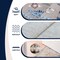 Jonathan Y Catmosphere Festive Feline Floral Border Non-Slip Machine-Washable Tan 2 ft. x 8 ft. Runner Rug ANM100A-28 - alternate 5