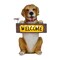 Techko Barkley the Greeting Puppy Solar Outdoor Garden Statue with Integrated LED Light, 8PK SG-822-8PK - alternate 1
