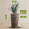 Vintiquewise Wicker Banana Rope Tall Floor Planter with Metal Pot, Large QI003360.L - alternate 5