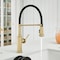Blanco Empressa Semi-Pro 1.5 GPM, Satin Gold 442982 - alternate 6