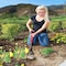 Corona Tools ExtendaHANDLE Rake GT 3050 - alternate 4