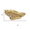 Homeroots 5in Gold Cast Iron Christmas Bell Trinket Tray 634784 - alternate 7