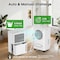 Edendirect 30 pt 2000 sq ft Dehumidifier for Home with Bucket Drain Hose in White ZR-FDD12-5091 - alternate 9