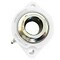 Timken Flange Block Bearing; 2 Bolt Flange Block; 1 in. Bore; 3 in. Bolt Circle Diameter 4Y6GC8-16GX - alternate 3
