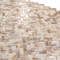 Apollo Tile Concha 10.6 in. x 11 in. Polished White, Beige Shell, Mother of Pearl Mosaic Wall Tile 2PK APLSMA88HB01A - alternate 7