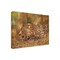 Trademark Fine Art Outdoor Canvas Art David Stribbling 'Leopard about to pounce' Wall Art for Patios, or Gardens GRL00386-OC1824WR - alternate 1