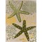 Homeroots 10' X 14' Ivory Green Yellow Blue And Dark Green Starfish Indoor Outdoor Area Rug 548098 - alternate 1