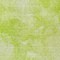 Homeroots 9' X 12' Artichoke Green And Lime Green Nautical Washable Indoor Outdoor Area Rug 581723 - alternate 8