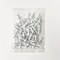 Palclad Rivets .75 in White, 50PK 92593 - alternate 7