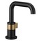 Brizo Litze Single-handle Lavatory Matte Black/Luxe Gold 65035LF-BLGL - alternate 2