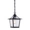 Homeroots Matte Black Terrarium Shape Hanging Light 398031 - alternate 1