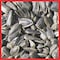 Coles Wild Bird Food 8 lb OS08 - alternate 2