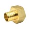 Thrifco Plumbing 1" x 1" FPT Brass Adapter F1807 x FPT Lead Free - (PEX B) 7910079 - alternate 5