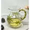Homeroots 3 Quart Clear and Green Palm Tree Acrylic Pitcher 523323 - alternate 7